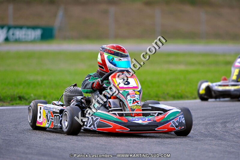 DSC_ (899).jpg